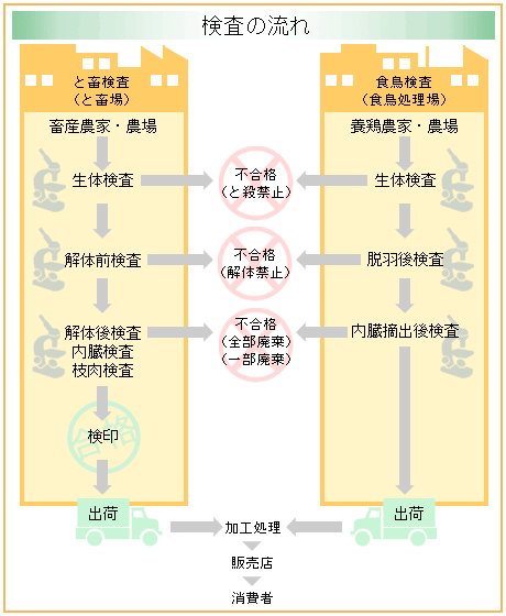 食肉衛生検査所の検査流れの画像