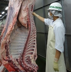 お肉の獣医さんの解体の途中の検査写真