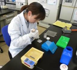 検査をしている写真